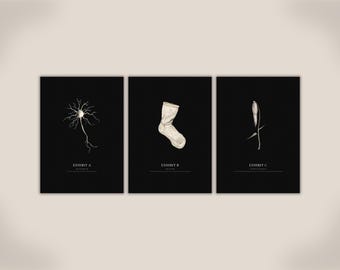 Museum Exhibit Wall Art Set – Funny Minimalist Prints of Brain Cell, Lost Sock & Productivity Sprout, Relatable Office Decor, Adulting Humor