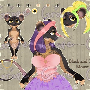 May include: Illustration of a black and tan mouse character in a pink and purple dress, gold jewellery, and a long tail. The image includes a headshot with yellow and green hair, and a full body pose. Text reads "Black and Tan Mouse".