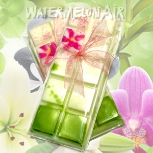 KAUAI SPA Snap Bar Wax Melts, spa wax melts