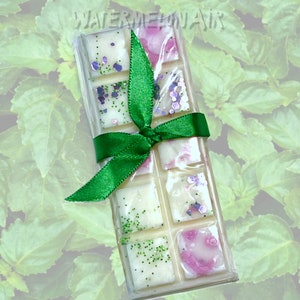 PATCHOULI Snap Bar Wax Melts | home scent | light patchouli scent | summer scent | 70s scent