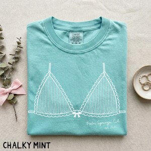 Puede incluir: Una camiseta de color menta con un gr&aacute;fico blanco de un sujetador. La camiseta tiene cuello redondo y mangas cortas. El texto "Palm Springs, CA est 2026" est&aacute; impreso en la camiseta.