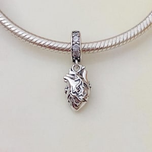 Anatomical Heart Dangle Charm • S925 Sterling Silver Charm for Bracelet • Human Organ Medical Charm • Necklace Pendant • Gift for Her