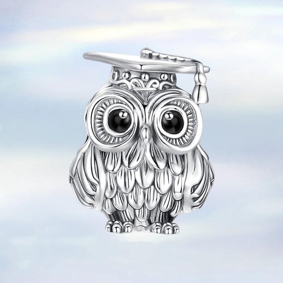 Wise Owl Charm Pandora Graduation Bead Wish Owl Graduation Charm