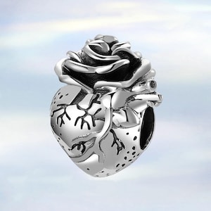 Anatomical Heart Charm Human Organ Medical Charm • S925 Sterling Silver Charm for Bracelet • Necklace Pendant