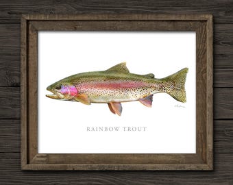 Rainbow Trout Art Print, Fly Fishing Angling Gift