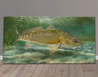 Redfish Painting, Redfish Canvas Print, 40" X 20" Gallery Wrapped Canvas , Fish Art, Florida Fishing