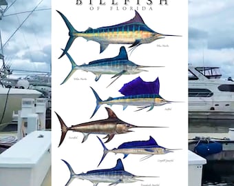 Billfish of Florida & Surrounding Waters Species ID poster, Fish ID Chart