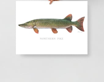Northern Pike Print, Pickerel, Fish Art, Gamefish picture