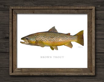 Brown Trout Art Print, Fly Fishing, Gamefish Picture