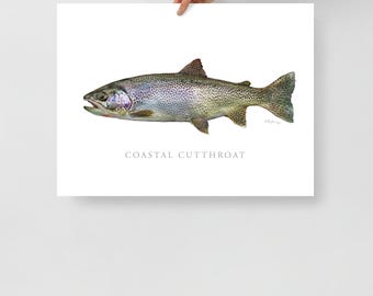 Coastal Cutthroat Trout Print, Fish Art, Gamefish picture