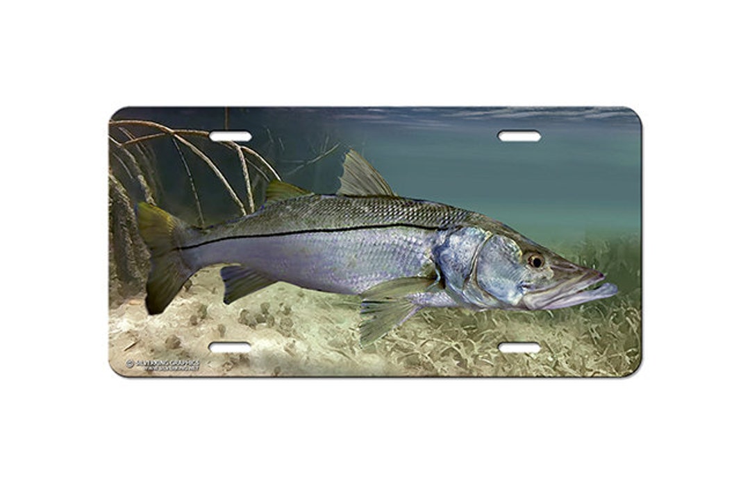 Snook License Plate, Fisherman Decorative License Plate, Snook Fishing
