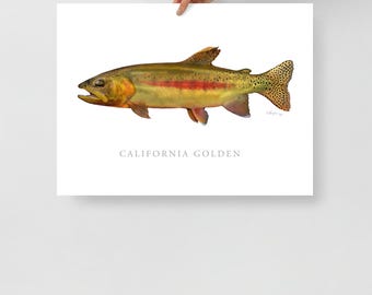 California Golden Trout Print, Fish Art, Gamefish picture