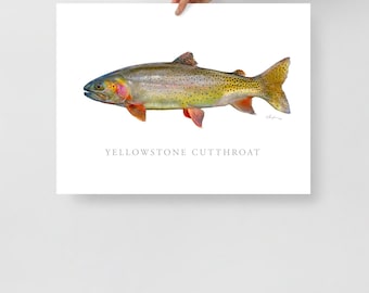 Yellowstone Cutthroat Trout Print, Fish Art, Gamefish picture
