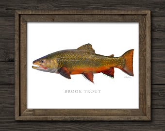 Brook Trout Art Print, Fly Fishing Angler Gift