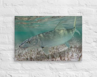 Bonefish Painting, Bonefish Canvas Print, Gallery Wrapped Canvas, Bone Fish Art