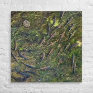 Redfish School on the Flats Gallery Wrap Canvas