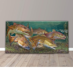 May include: A close-up of a group of redfish swimming in a shallow, clear water. The fish are all facing the camera and have their mouths open. The water is a light blue color and there is some seaweed in the background.