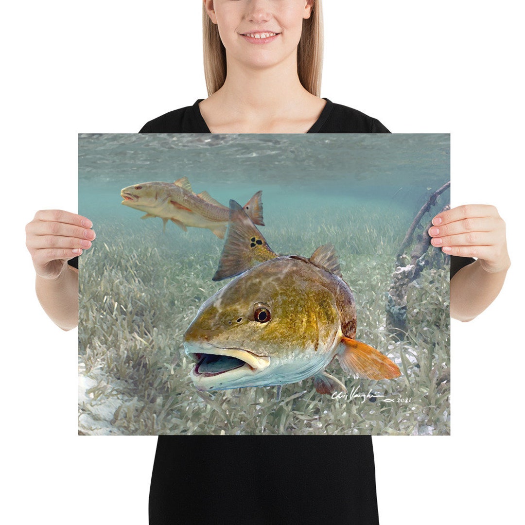 Redfish Painting, Redfish Giclee Paper Print, Fish Art, Florida Fishing