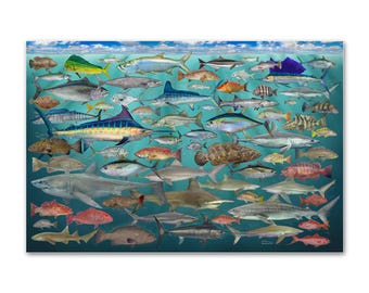 Special Edition Coastal Fishes Print, Florida Fishing Poster, Fish ID Chart, Photo paper poster