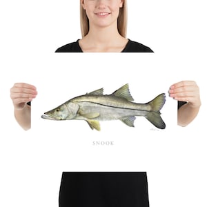 Snook Print, Robalo, Dogfish, Coastal Art, Fine Art Print, Fish Art, Saltwater Gamefish picture