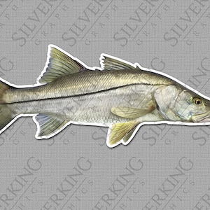 Snook, Snook Decal, Snook Sticker, Fishing Decal