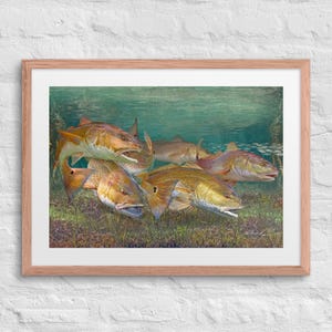 24" x 18" Framed & Matted Redfish Print, Framed Redfish Giclee Paper Print, Fish Art, Florida Fishing Painting