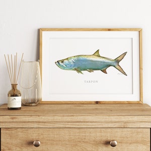 Tarpon Print Silverking Florida Art Coastal Art Fine Art Print Fish Art Saltwater Gamefish imagen