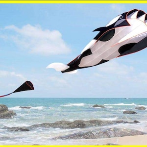 Whale Fish Dolphin Nylon 3-D Frameless Kite Festival Black Single Line Delta 6 Feet Long X 4 Feet Wide