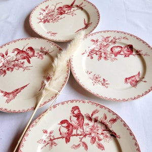 19th' 4 lovely French ironstone soup dinner plates from Sarreguemines red birds