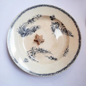 19th bird Ironstone Serving Platter from famous shop Paris Rue Turbigo, Serving Plate, Transferware, antique anglo french ironstone dish