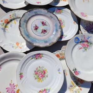 9 mix and match porcelain dessert plates and a floral pattern dish