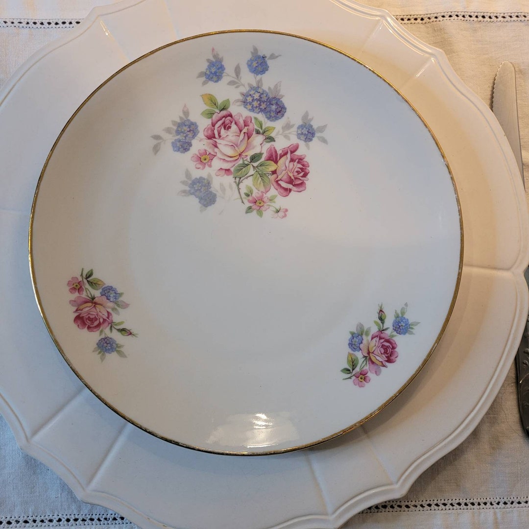 UNIQUE SET of 4 Antique Dinner Plates in French Porcelain Floral