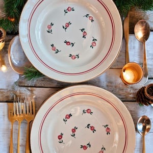 2 antique French dinner plates from Saint Amand