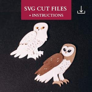 Layered Owl SVG For Paper Cutting | Barn and Snowy Owl 3D Wall Art Template | Shadow Box Template | Owl Shadow Box SVG | Paper Craft
