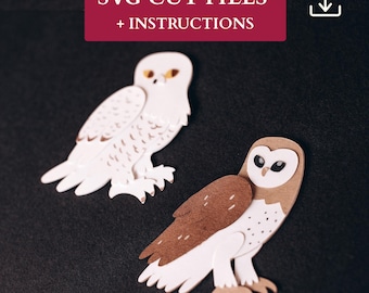 Layered Owl SVG For Paper Cutting | Barn and Snowy Owl 3D Wall Art Template | Shadow Box Template | Owl Shadow Box SVG | Paper Craft