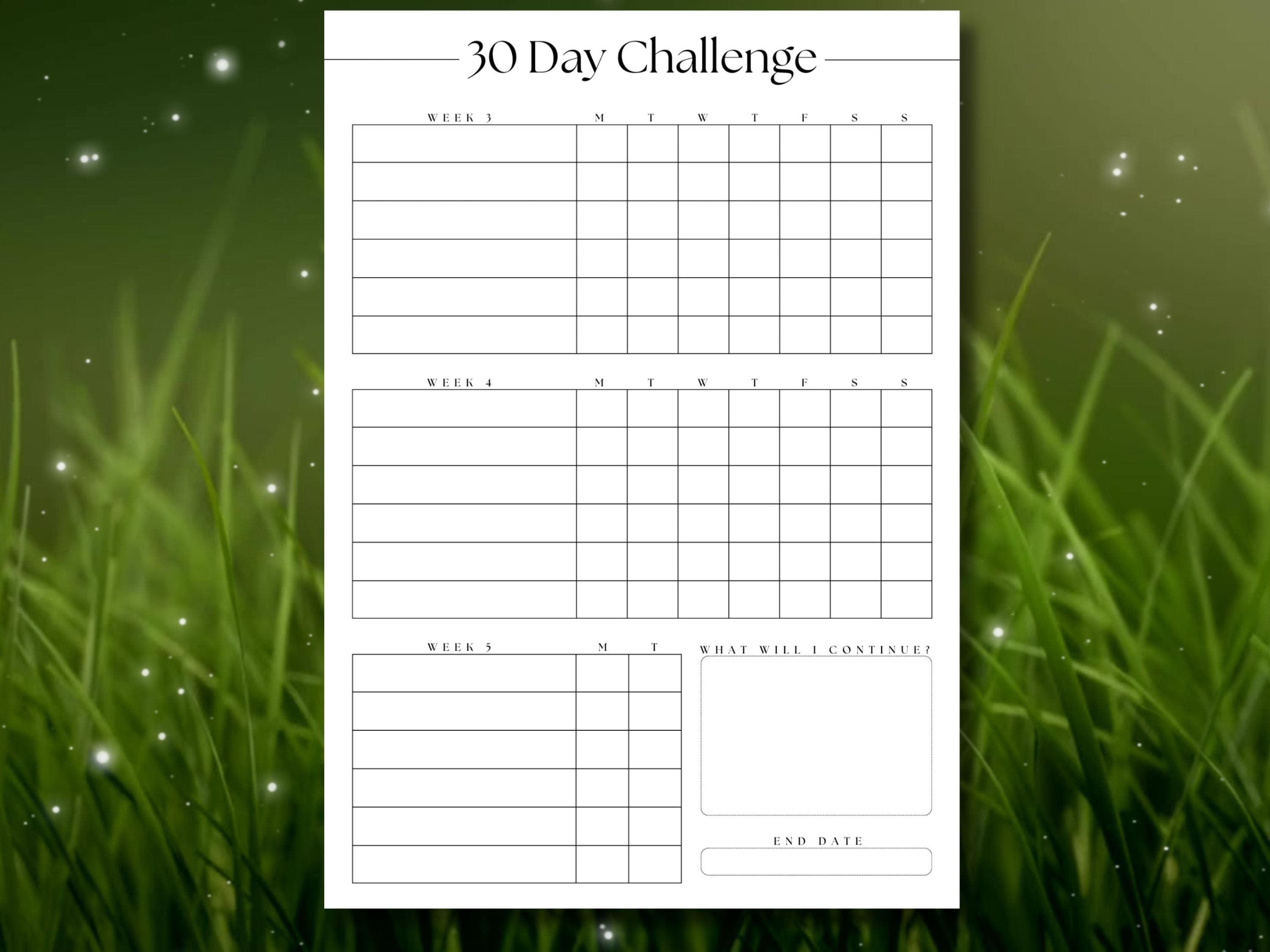 30 Day Challenge Planner | Goal Tracker, Self Discipline (PDF) - Etsy