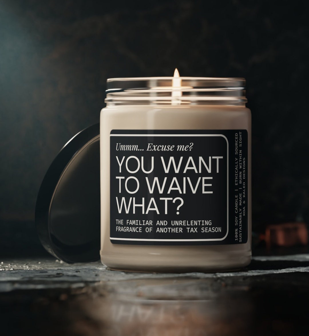 You Want to Waive What Candle Funny Tax Accounting Gifts - Etsy