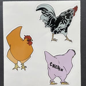 Chicken Sticker Sheet – 3 Chickens You Might Meet Someday, Farm Animal Stickers, Vinyl Stickers for Laptops, Journals, Scrapbooking, Gifts