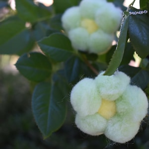 May include: A pair of light green, fluffy flower-shaped earrings with yellow centers, hanging from a silver chain. The earrings are set against a backdrop of green leaves and branches, creating a natural, botanical theme.