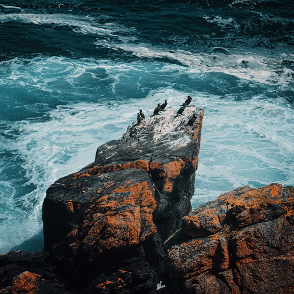 Cormorant Rock - Cornwall ︱Impression photographique, Fine Art Print, Unframed, Landscape Photography, Wall Art and Decor