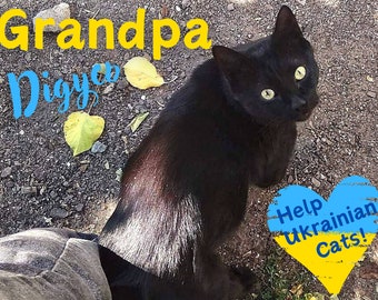 Support Ukrainian Cat! Feed Grandpa, Ukrainian animal rescue, digital photo download