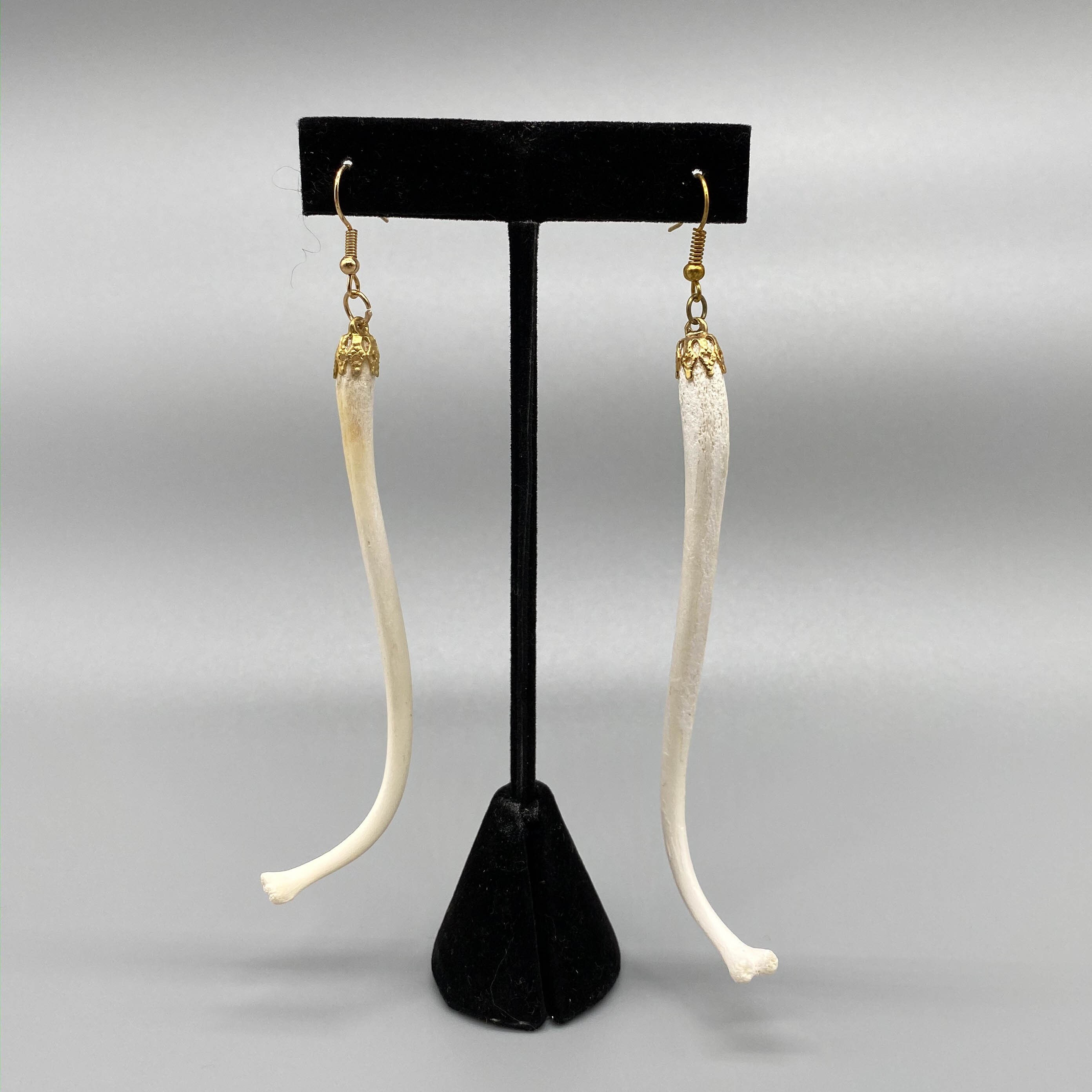 Raccoon penile hotsell bone jewelry