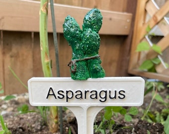 Marcador de plantas pintado a mano - Espárragos