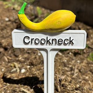 Hand Painted Plant Marker - Crookneck Squash