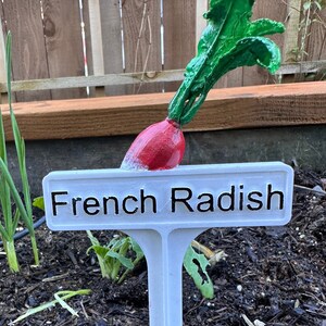 Marcador de plantas pintado a mano - Rábano francés