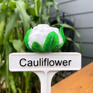 Hand Painted Plant Marker - Cauliflower
