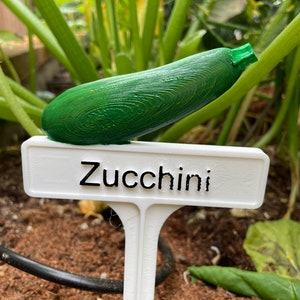 Marcador de plantas pintado a mano - Calabacín