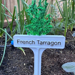 Hand Painted Plant Marker - French Tarragon
