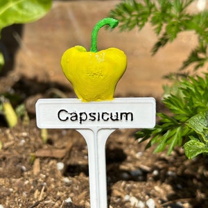 Hand Painted Plant Marker - Capsicum