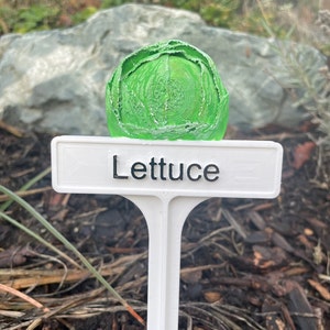 Marcador de plantas pintado a mano - Lechuga redonda